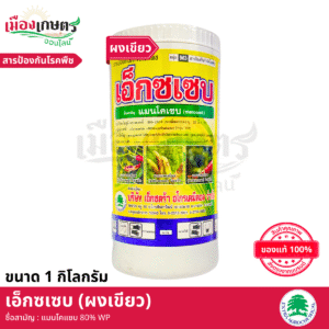 (ยกลัง) เอ็กซตร้า เอ็กซเซ็บ เขียว 1 กิโลกรัม X12