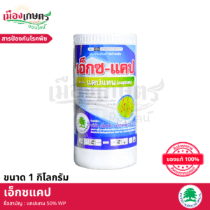 (ยกลัง) เอ็กซตร้า เอ็กซแคป 1 กิโลกรัม X12