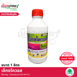 (ยกลัง) เอ็กซตร้า เอ็กซโควอส 1 ลิตร X12
