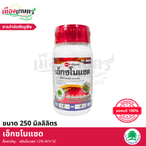 (ยกลัง) เอ็กซตร้า เอ็กซโนแซด 250 มิลลิลิตร X24